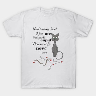 Valentine's Day Meme, Funny Cat Meme, Funny Cupid Design, Captain KMew Story, Cat Meme T-Shirt